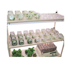 TOMYS多美精工CR-300L 高强度LED植物生长架